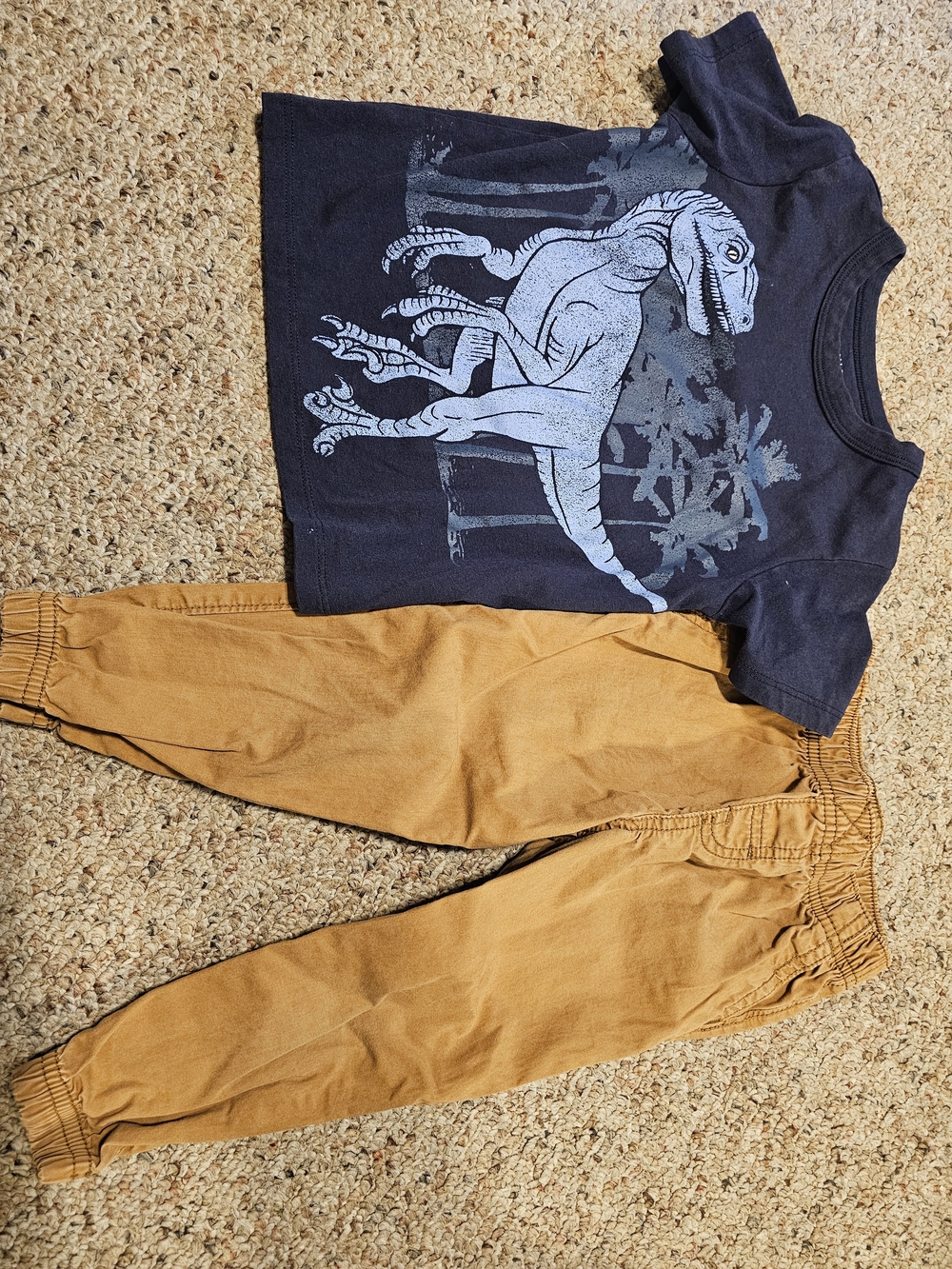 Falls Creek Kids Navy Graphic Tee - Blue Dinosaur Print and Carter's Tan Pants